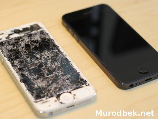 Apple синган 
