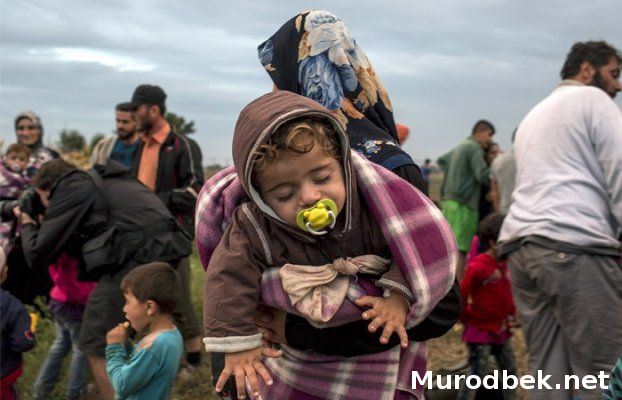 Муҳожирларнинг Европадаги аянчли қисмати