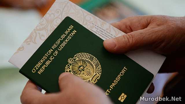 Рўйхатда шу пайтгача 66 та ташкилот мавжуд эди. Мактабгача таълим вазирлигида ишловчи ходимлар ҳам Тошкент шаҳри ва Тошкент вилоятида доими