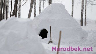 Россияда биринчи иглу-меҳмонхона ўз ишини бошлади