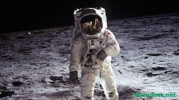 NASA тасодифан бебаҳо экспонатни сотиб юборди